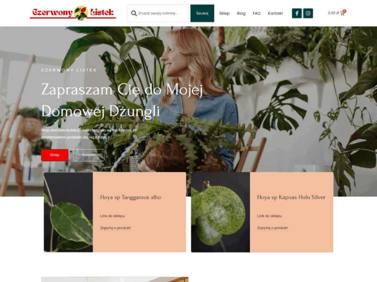 ESITIO - Strony internetowe i e-commerce