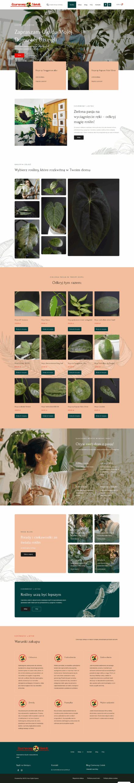 ESITIO - Strony internetowe i e-commerce